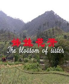 姊妹花开剧照