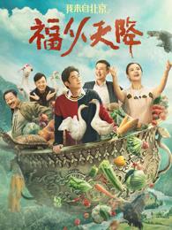 我来自北京之福从天降海报