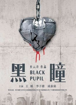 黑瞳海报