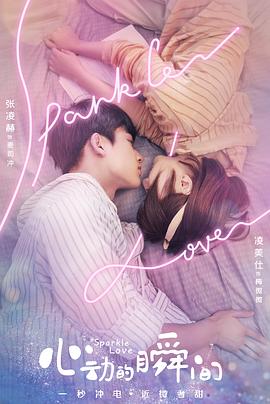 心动的瞬间（越南语版）海报