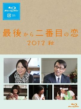 倒数第二次恋爱 2012秋SP海报